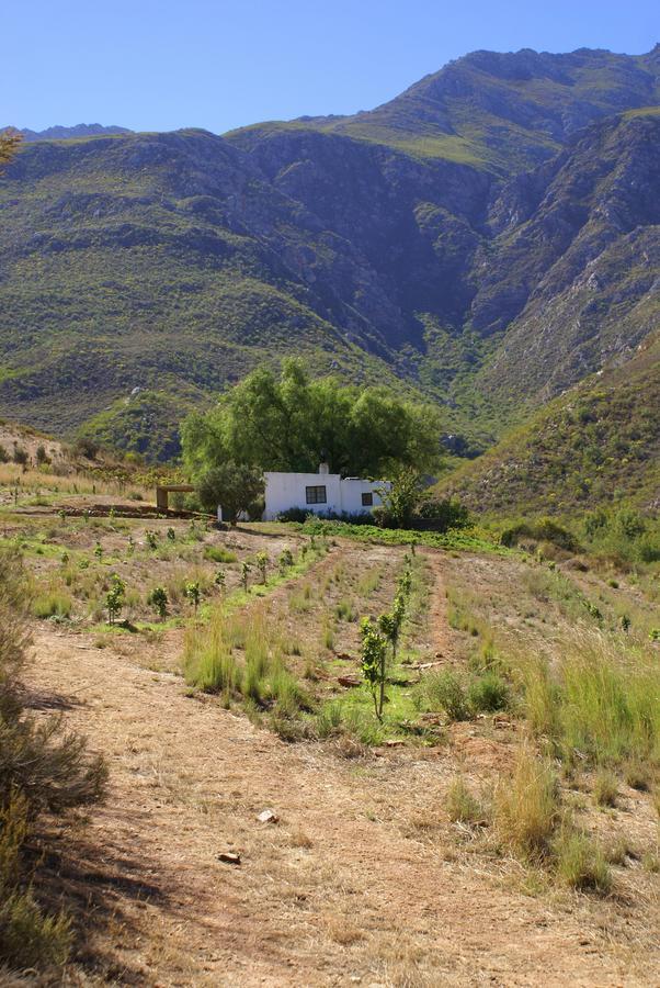 Tierhoek Cottages Robertson Bagian luar foto