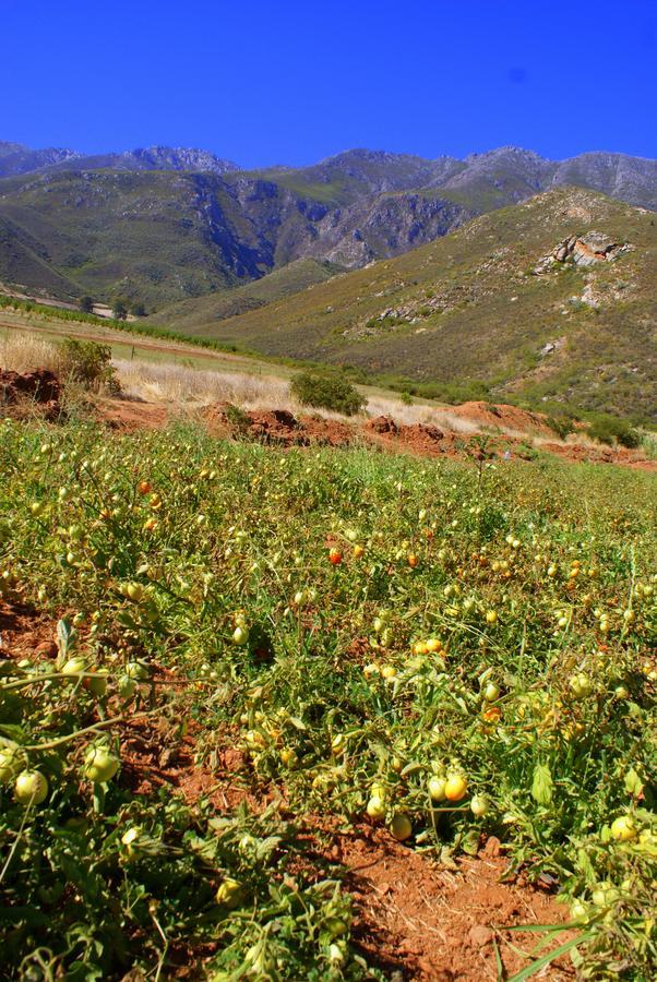 Tierhoek Cottages Robertson Bagian luar foto