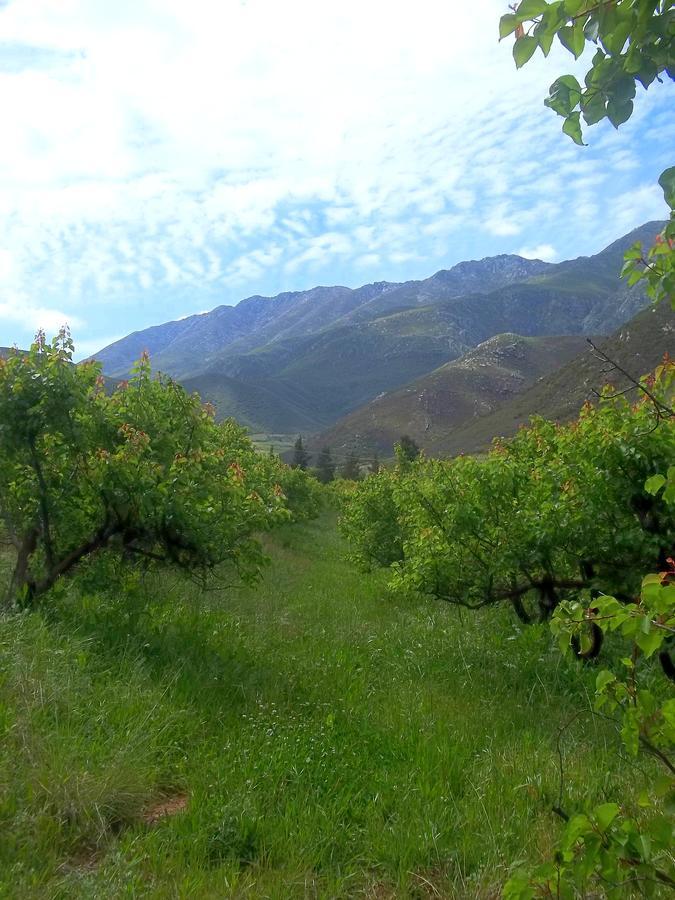 Tierhoek Cottages Robertson Bagian luar foto