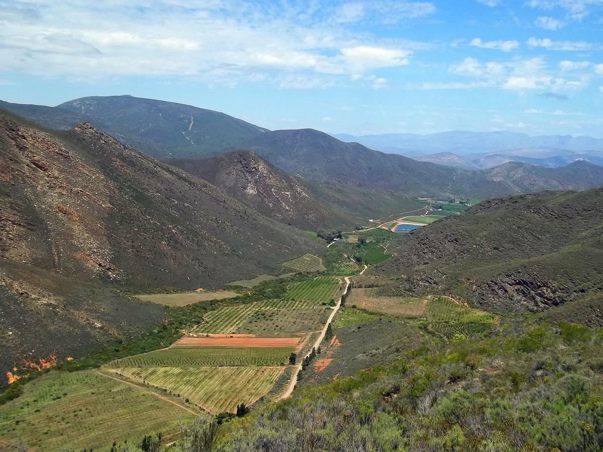 Tierhoek Cottages Robertson Bagian luar foto