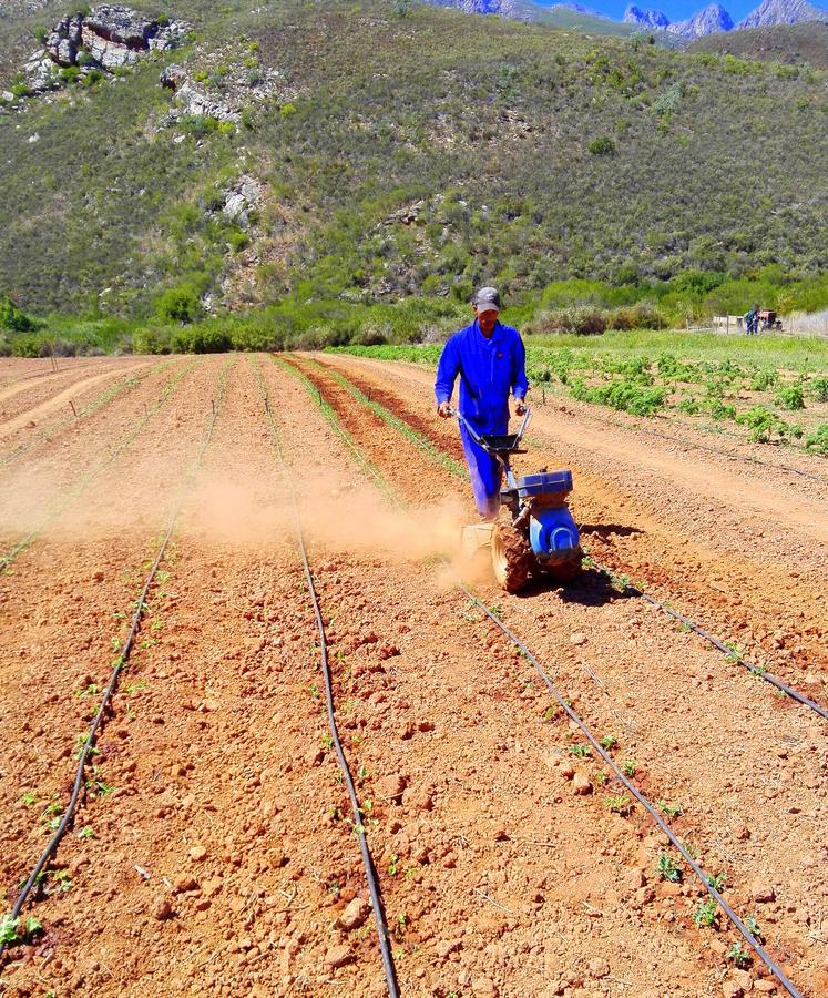 Tierhoek Cottages Robertson Bagian luar foto