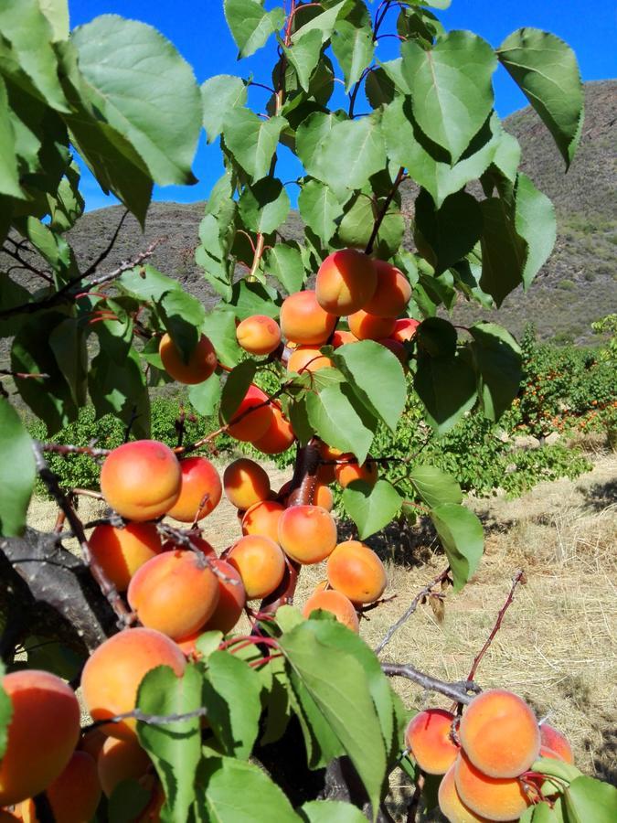 Tierhoek Cottages Robertson Bagian luar foto